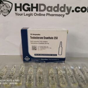 testosterone-enanthate-250-mg-1-amp